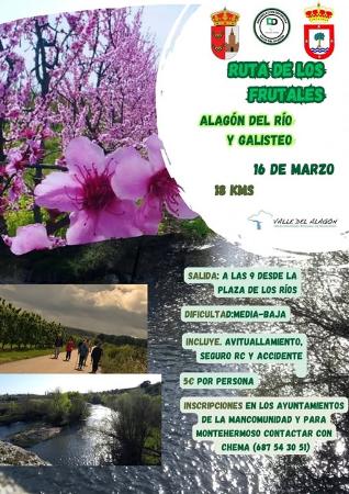 Imagen RUTA DE LOS FRUTALES.