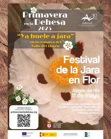 Imagen Festival de la Jara en flor.