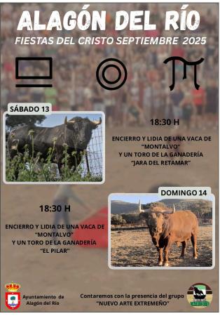 Imagen FESTEJOS TAURINOS ALAGÓN DEL RÍO.