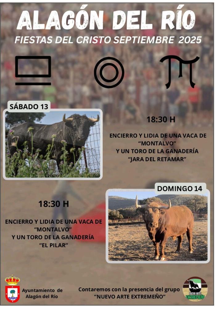 Imagen FESTEJOS TAURINOS ALAGÓN DEL RÍO.